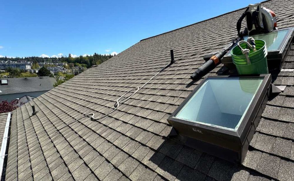 Roof cleaning near me