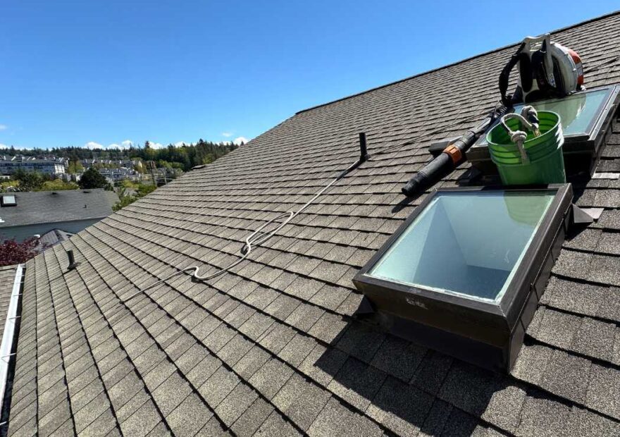 Roof cleaning near me