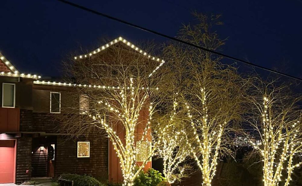 holiday light installation near me