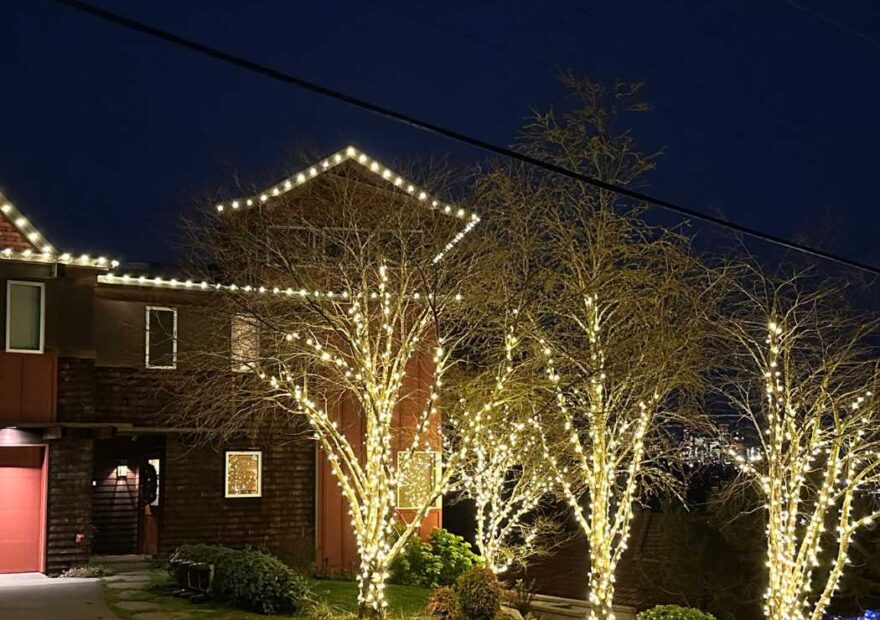 holiday light installation near me